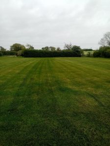 Grass cutting-Lawn care in Beccles Suffolk