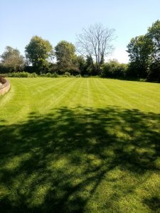 Grass cutting Suffolk