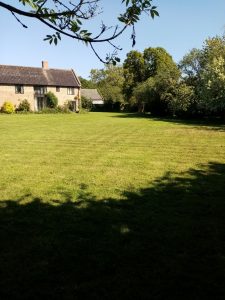 Grass cutting Waveney