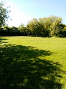 Grass cutting Hedenham Norfolk