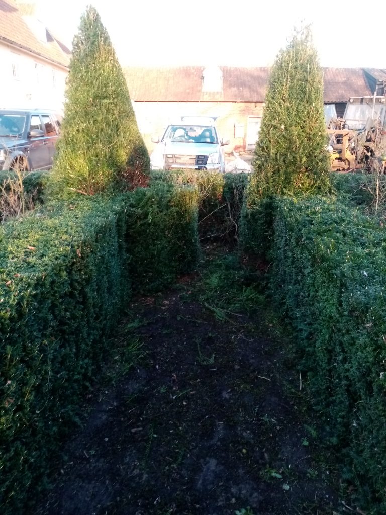 First visit with groundsandgardens.co.uk Hedge cutting