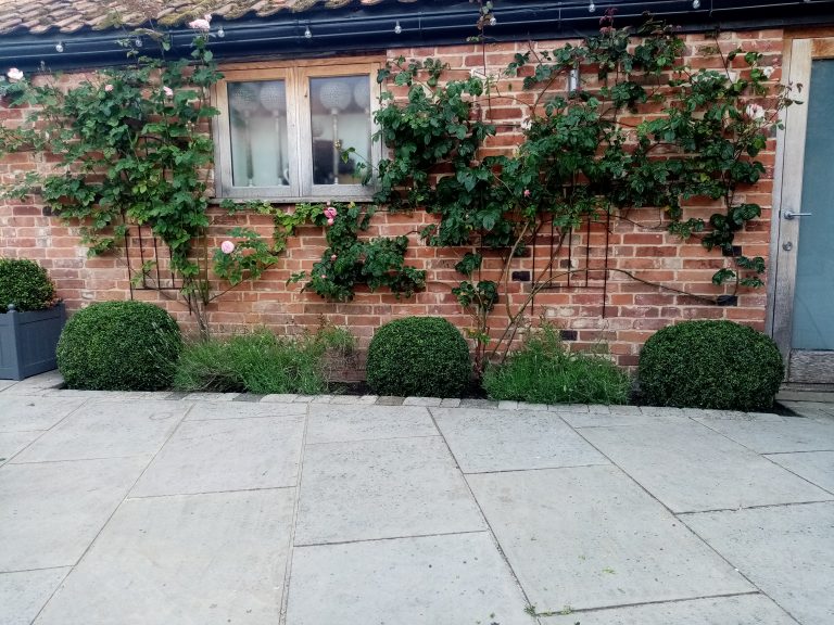Topiary trio in Beccles. Based in Bungay. For all your garden nedds